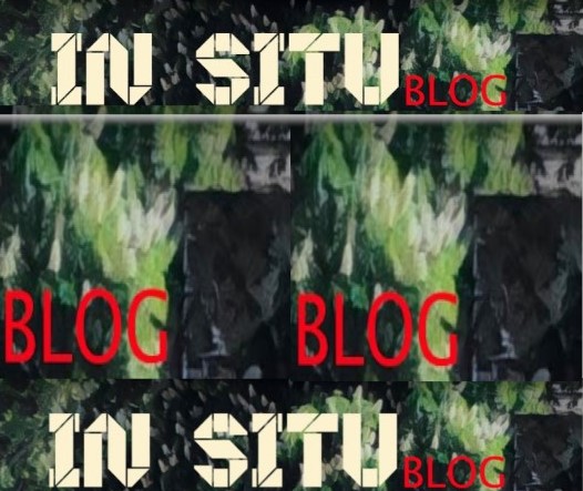 insitublog logo2