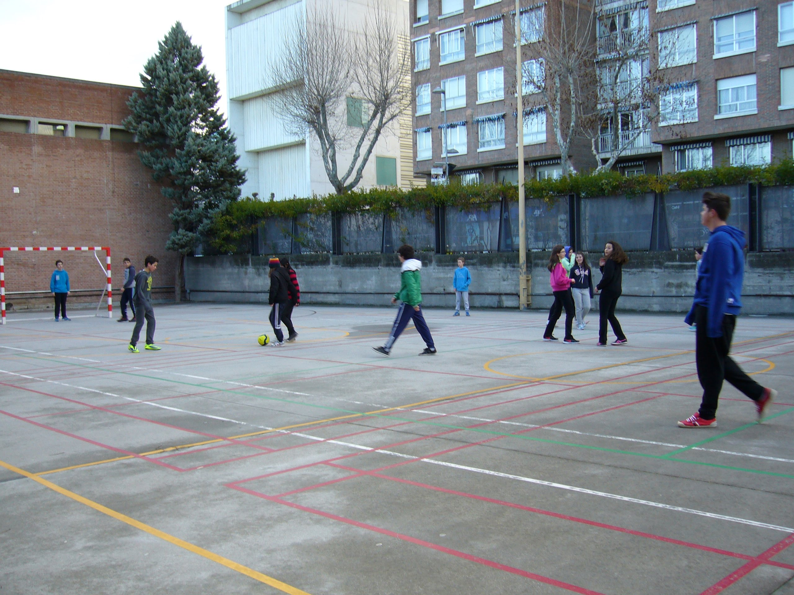 canchas