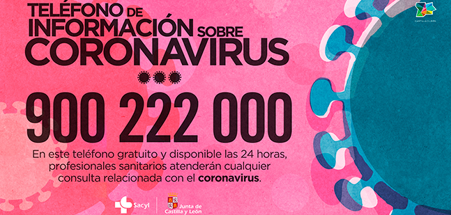 coronavirus d
