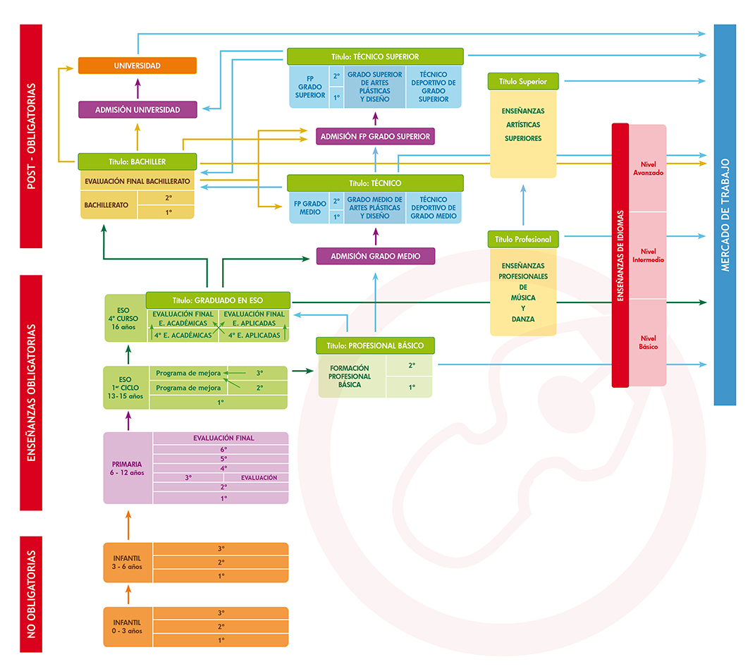 estructura lomce